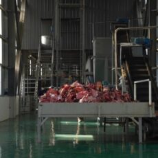 В Темирлане начали перерабатывать кости животных в промышленную продукцию