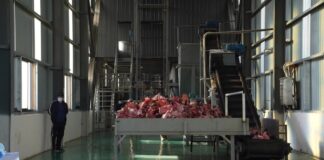 В Темирлане начали перерабатывать кости животных в промышленную продукцию