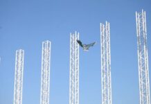 В Шымкенте прошёл масштабный фестиваль воздушных змеев
