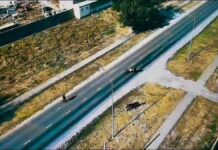 «Закон и порядок»: в Шымкенте выявили 370 нарушений правил выпаса скота