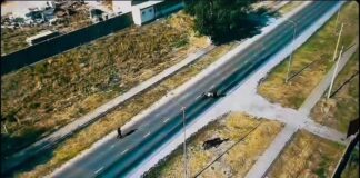 «Закон и порядок»: в Шымкенте выявили 370 нарушений правил выпаса скота