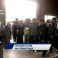 Студентов Шымкента знакомят с будущей профессией на производстве