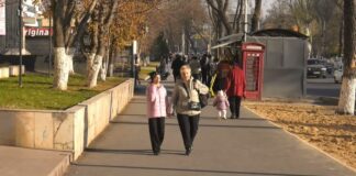 До +22 градусов ожидается в Шымкенте на этой неделе