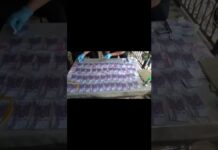 Жителя Туркестанской области задержали по подозрению в вымогательстве 5 млн теңге