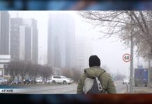 Экологическую комиссию создадут в Шымкенте после жалоб жителей