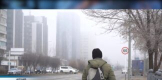 Экологическую комиссию создадут в Шымкенте после жалоб жителей