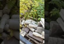 Вандализм зафиксировали в парке «Этно» в Шымкенте