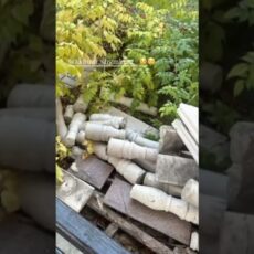 Вандализм зафиксировали в парке «Этно» в Шымкенте