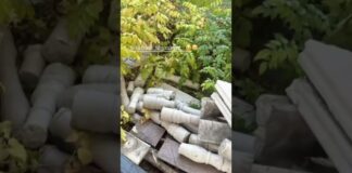Вандализм зафиксировали в парке «Этно» в Шымкенте