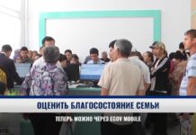 В eGov Mobile появился калькулятор благосостояния