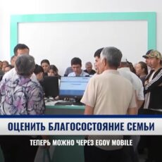 В eGov Mobile появился калькулятор благосостояния