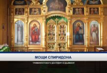 Мощи Спиридона Тримифунтского доставят в Свято-Никольский кафедральный собор