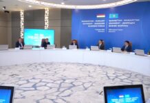 В Шымкенте обсудили совместные производства с венгерским бизнесом