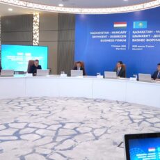 В Шымкенте обсудили совместные производства с венгерским бизнесом