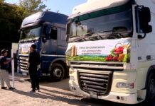 Более 500 тонн продукции из Туркестанской области отправили на ярмарку в Астану