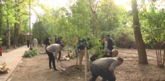 Дерево дружбы высадили в дендропарке Шымкента