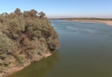 В бассейне Сырдарьи планируют автоматизировать учёт воды