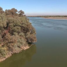 В бассейне Сырдарьи планируют автоматизировать учёт воды
