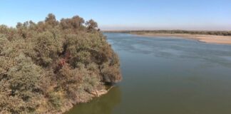 В бассейне Сырдарьи планируют автоматизировать учёт воды