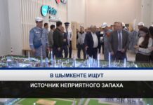 В Шымкенте проверяют жалобы жителей на неприятный запах