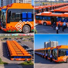 В Шымкенте до конца года планируют обновить 192 автобуса