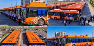 В Шымкенте до конца года планируют обновить 192 автобуса