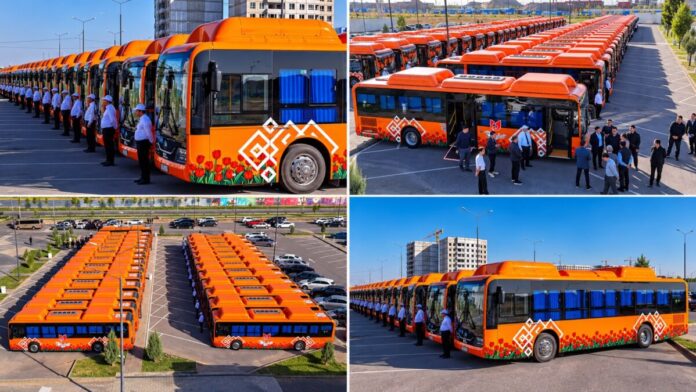 новые автобусы
