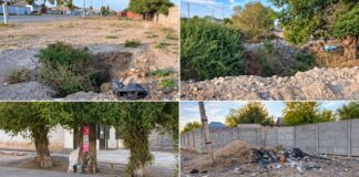 В Туркестанской области двое жителей выбросили около тонны мусора в выкопанную яму