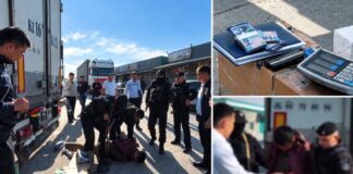 Двух мужчин задержали при получении 5 млн теңге в Шымкенте